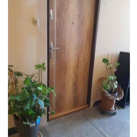 Apartment с любовью